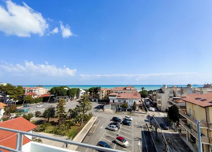 Capitano * トルトレート